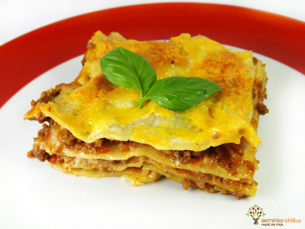 Recept na domácí Lasagne